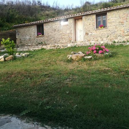 Il Cerro Agriturismo Zagarese Фускальдо Екстер'єр фото